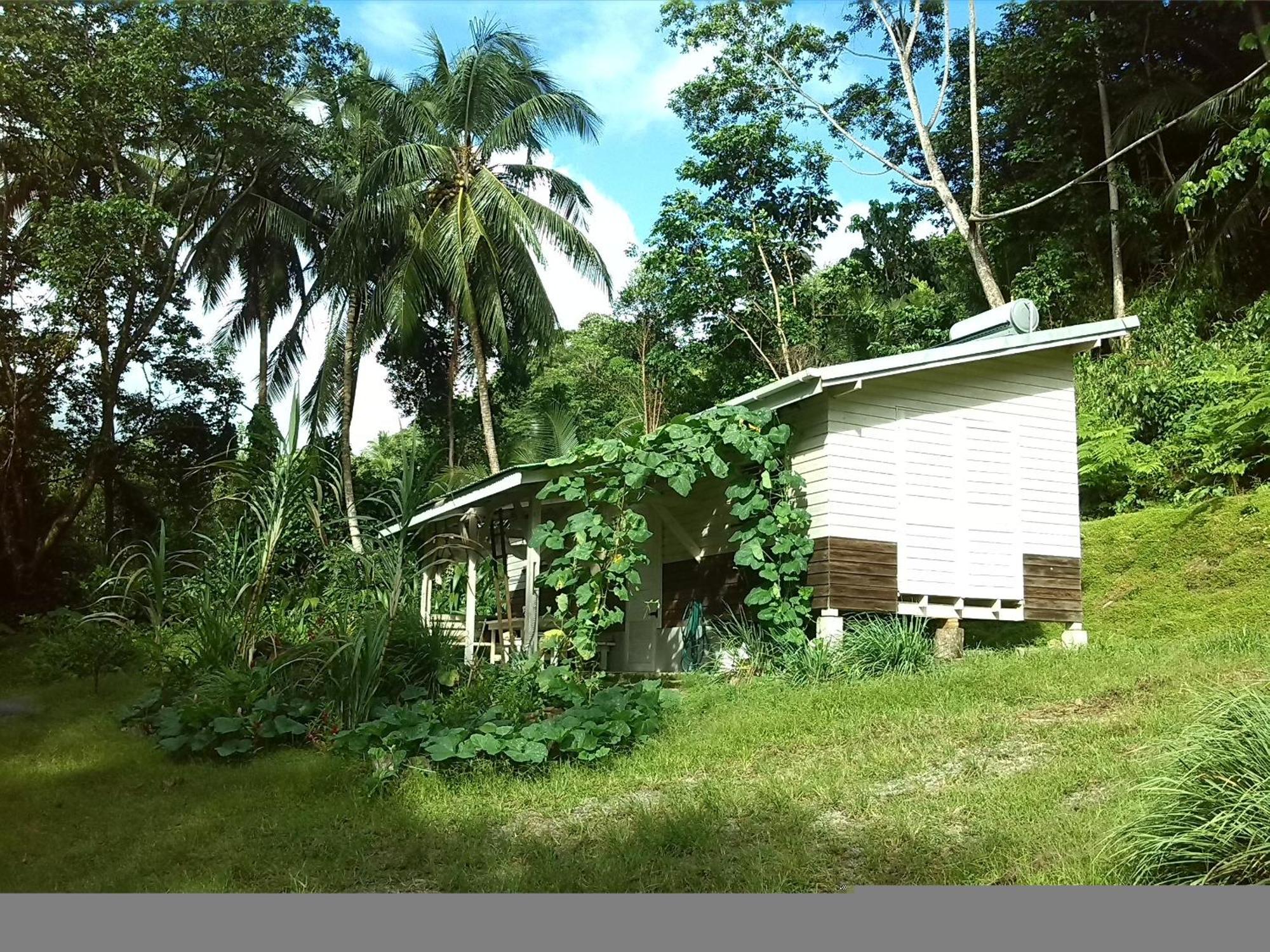 Villa Citrus Creek Plantation La Plaine Habitación foto